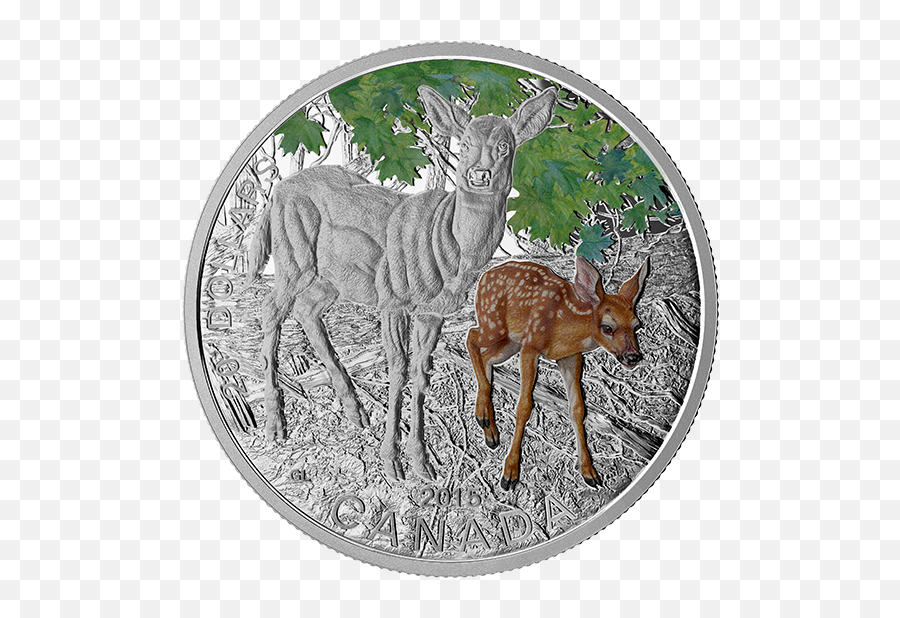 1 Oz Fine Silver Coloured Coin U2013 Baby Animals Deer - Roe Deer Png,Baby Deer Png