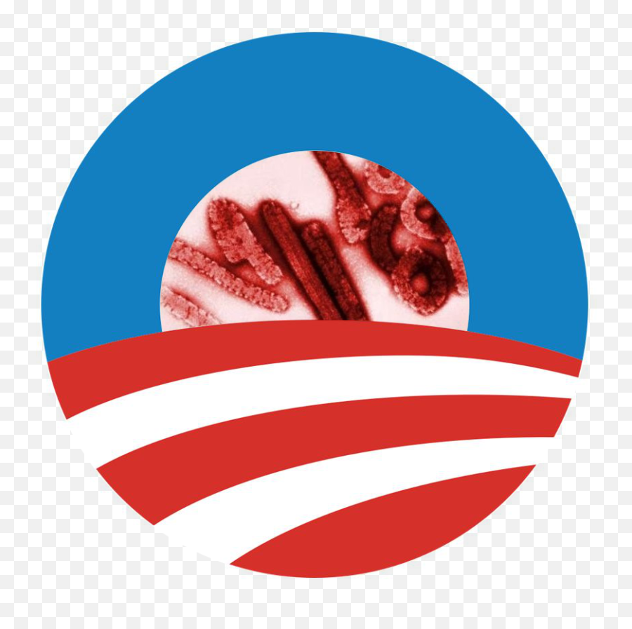 Pin - Obama Logo Png,Tinfoil Hat Png