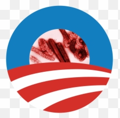 Pin - Obama Logo Png,Tinfoil Hat Png