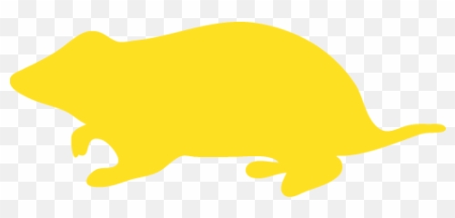 Reuse Icons Images Png Transparent - Marsupial,Hamster Png