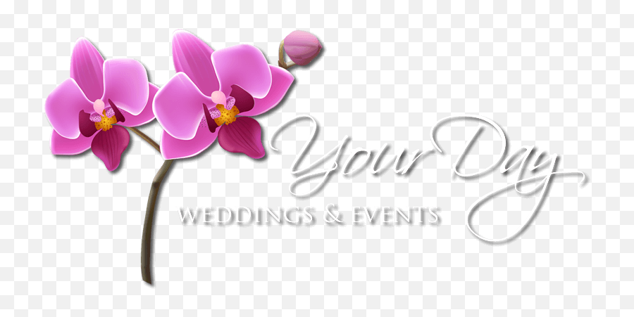 Your Day Weddings U0026 Events U2013 Las Vegas Nevada Wedding - Moth Orchid Png,Event Planner Logo
