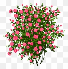 Transparent Flower Bush Clipart Png