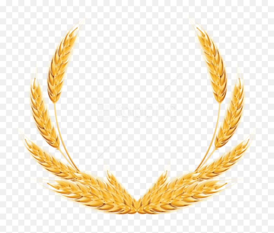 Free Png Download Wheat Images - Wheat Logo Png,Wheat Png