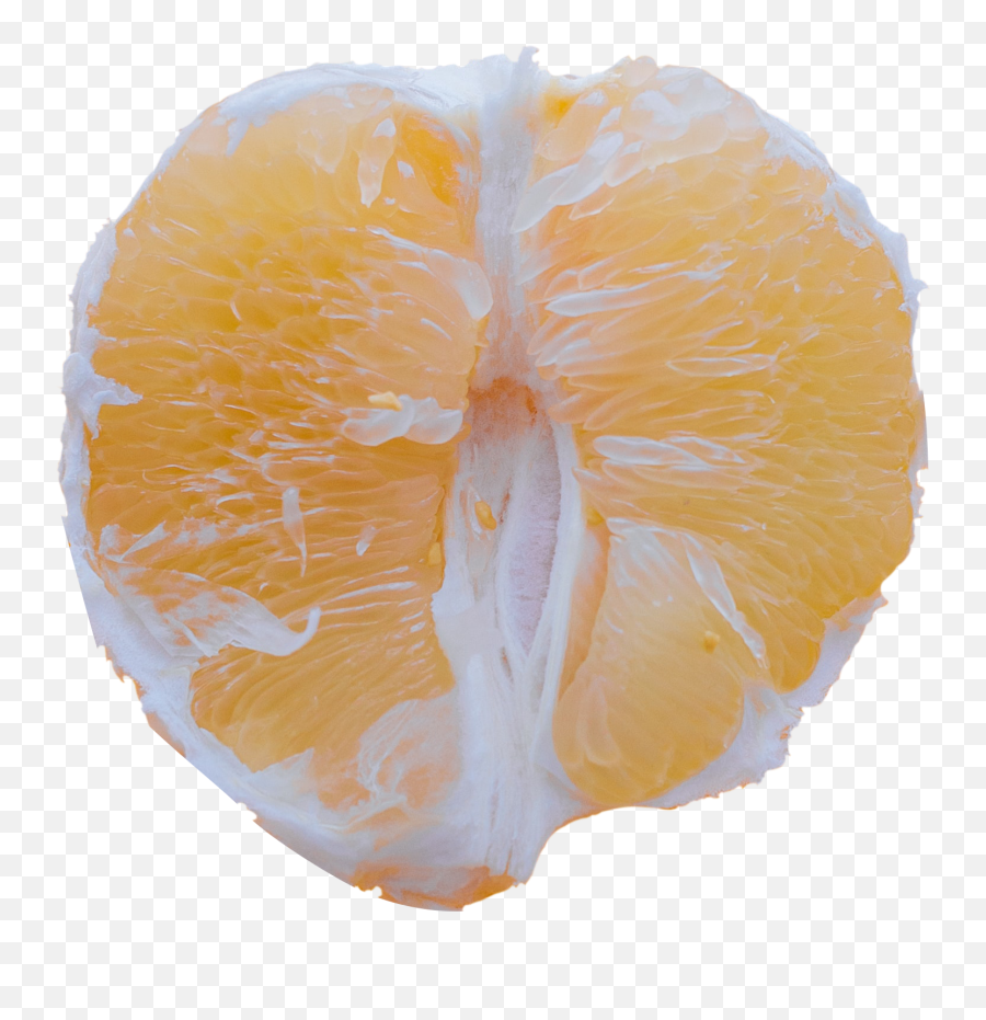 Slice Of Citrus Fruit Png - Citrus,Citrus Png