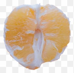 Slice Of Citrus Fruit Png - Citrus,Citrus Png