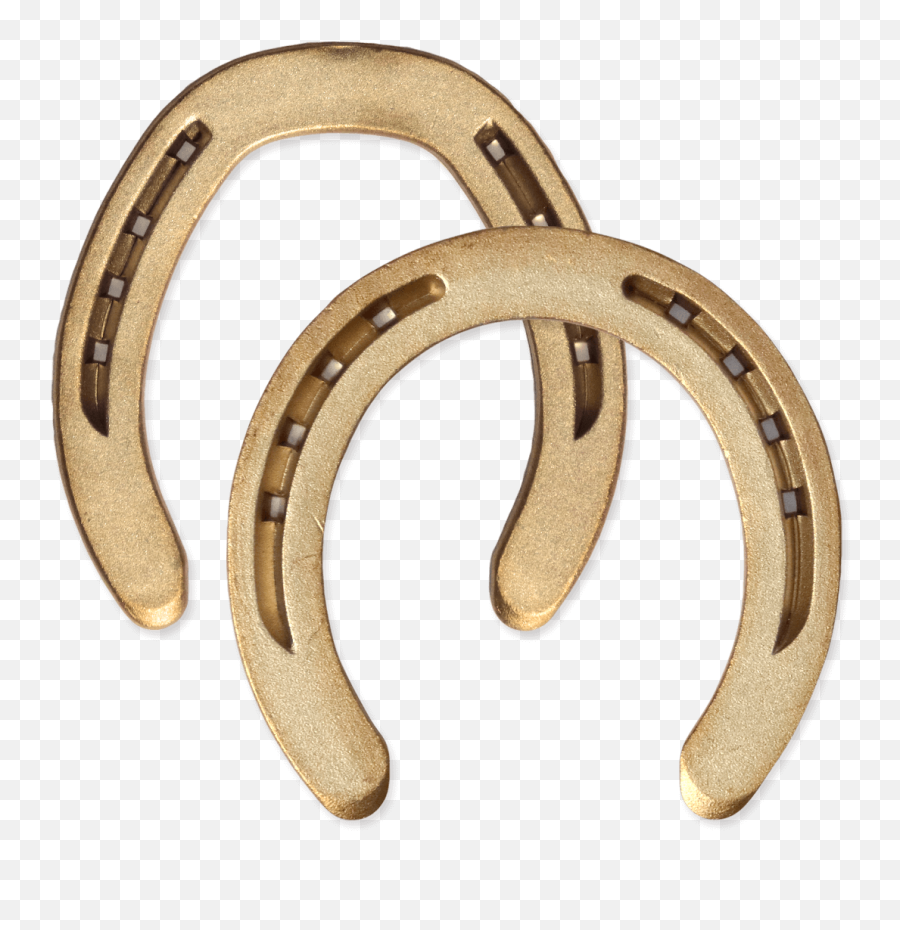 Copper Alloy Horseshoes - Earrings Png,Horseshoe Transparent