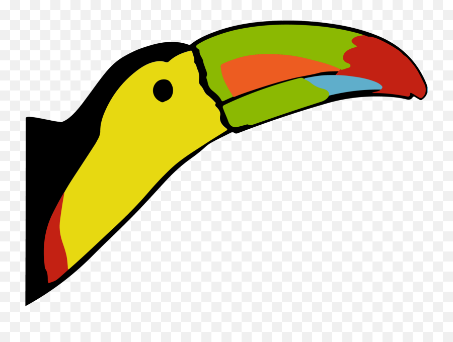 Toucan Education Programs - Study Abroad In Belize Toucan Png,Toucan Png