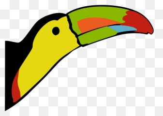 Toucan Education Programs - Study Abroad In Belize Toucan Png,Toucan Png