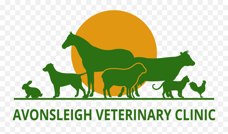 Avonsleigh Veterinary Clinic - Veterinary Animal Image Png,Veterinarian Png