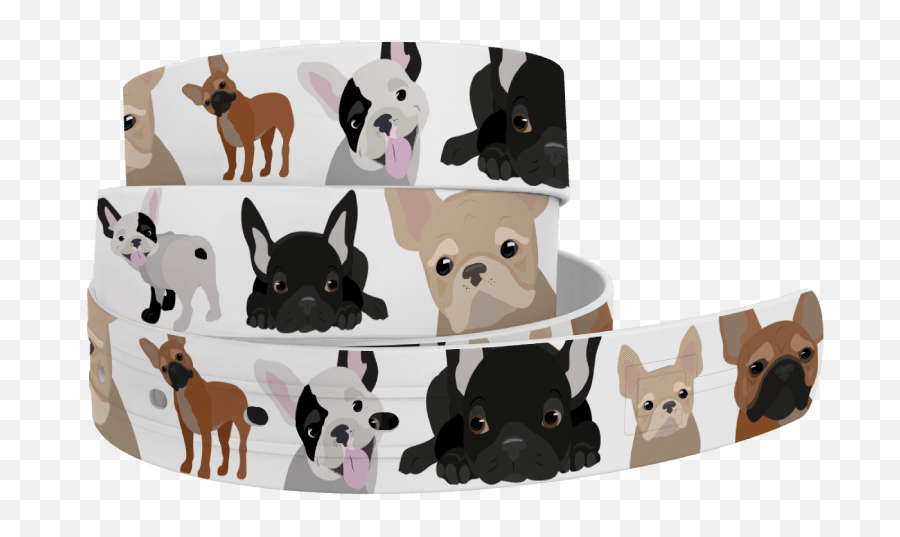 French Bulldog Belt By C4 - Mat Png,French Bulldog Png