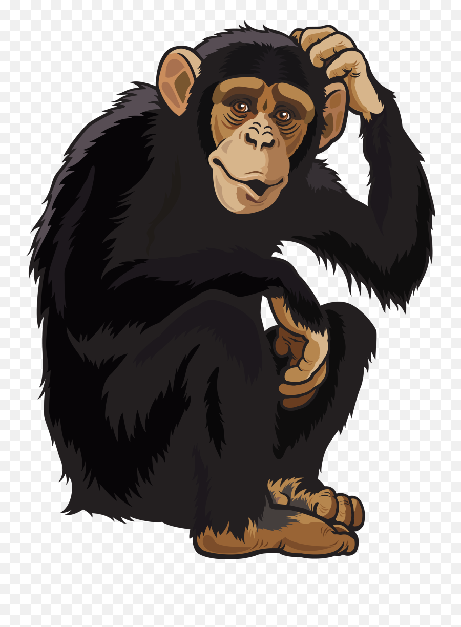 Png Hd Transparent Monkey - Chimpanzee Clipart,Monkey Transparent Background
