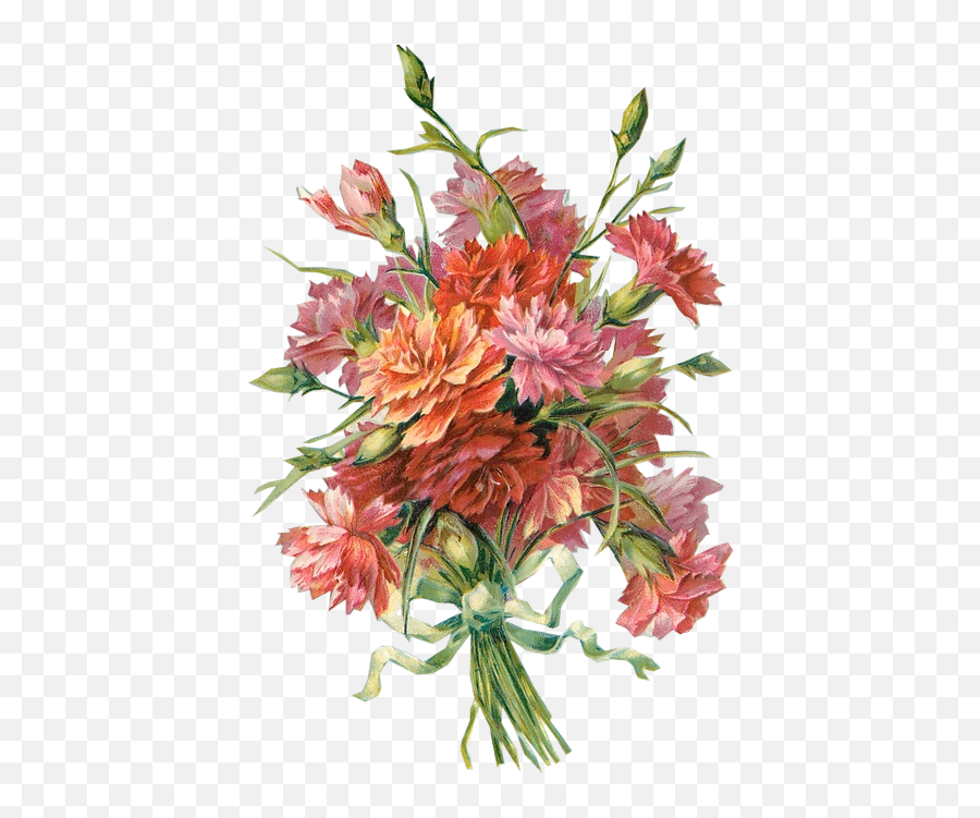 Richard Moulton Tuckdb Org Carnations - Flower Bouquet Carnation Vintage Free Png,Flowers Bouquet Png