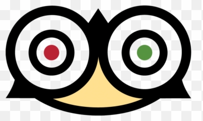 How To Find Cheap Flights Plus Few Useful Air - travel tips Icon Tripadvisor Logo Png