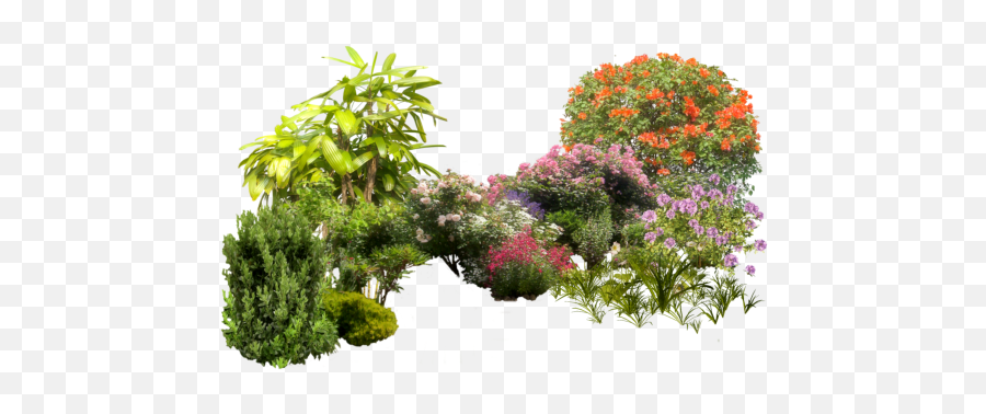 Garden Plants Png For Free Download - Nature Overlays For Editing,Garden Png