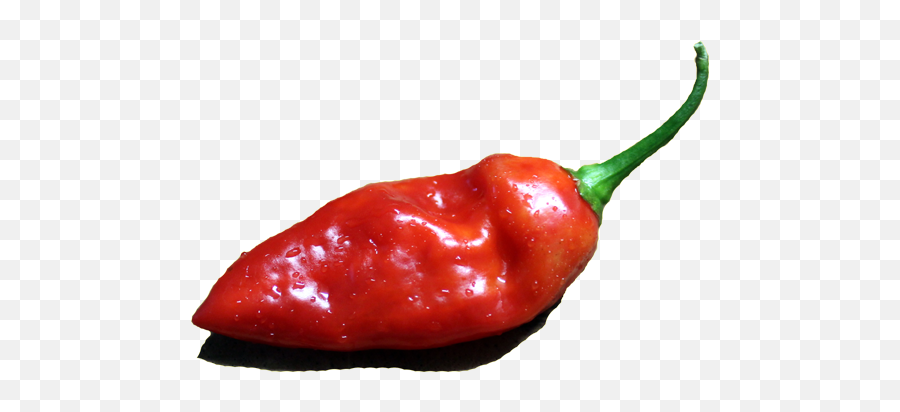 The Hottest Peppers In World By Pepper Johnnyu0027s - Spicy Png,Hot Pepper Icon