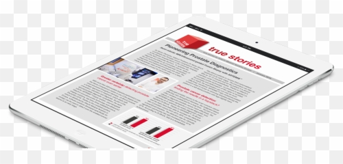 Hitachi Medical Systems - Document png