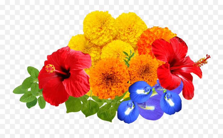 Download Hd Real Flowers Png For Kids - Puja Flower Png,Real Flowers Png