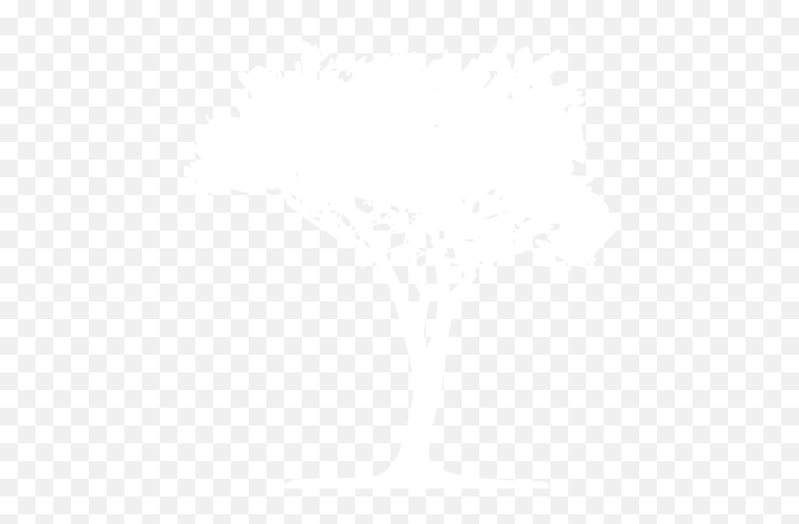 White Tree 51 Icon - Transparent White Tree Silhouette Png,Tree Icon Png