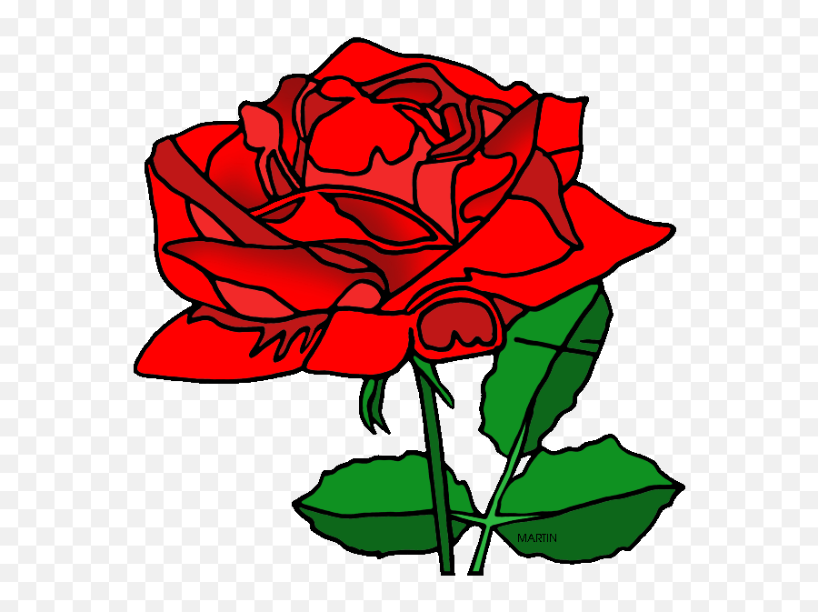 Red Rose Clipart American Beauty - Phillip Martin Flower American Beauty Rose Clipart Png,Rose Clipart Png