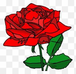 Red Rose Clipart American Beauty - Phillip Martin Flower American Beauty Rose Clipart Png,Rose Clipart Png