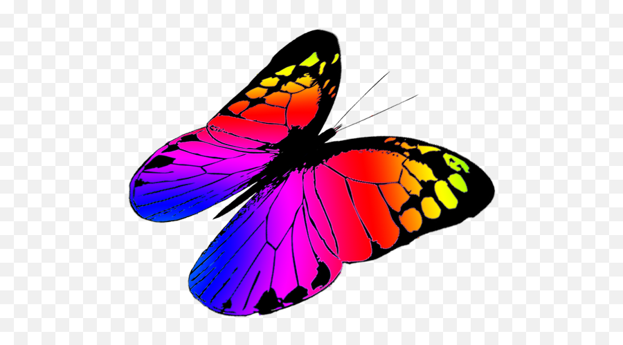 Butterfly Clipart - Colourful Butterfly Clipart Png,Butterfly Png Clipart