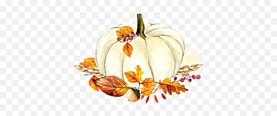 Watercolor Pumpkin Leaves Acorn Fall Autumn Harvest Png Transparent Background