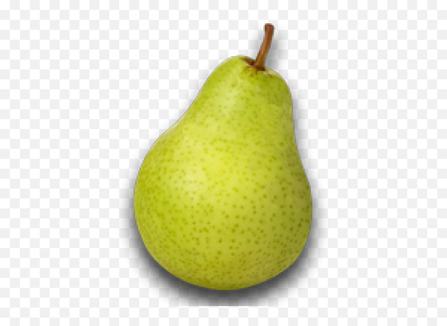 Pear Fruit Watermelon - Pera Png Download 600600 Free Png Pear,Pear Png