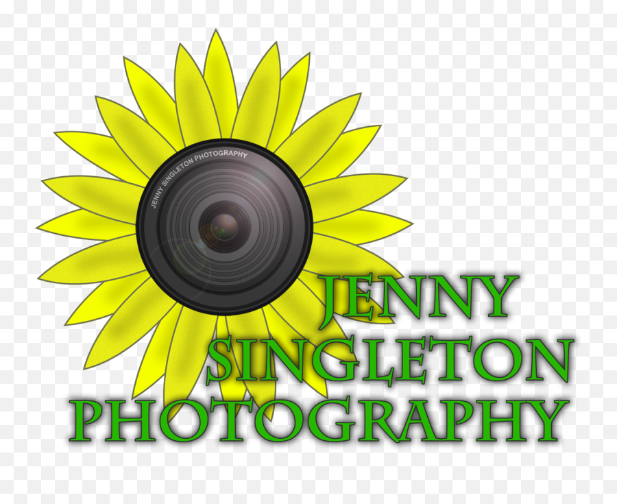 Elegant Feminine Boutique Logo Design For Jenny Singleton - Sunflower Png,Sunflower Logo