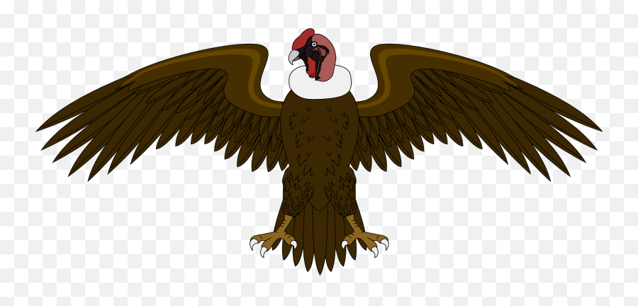 Eagle Bald Vulture Png Clipart - El Condor Del Escudo De Colombia,Vulture Png