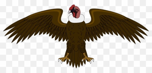 Eagle Bald Vulture Png Clipart - El Condor Del Escudo De Colombia,Vulture Png