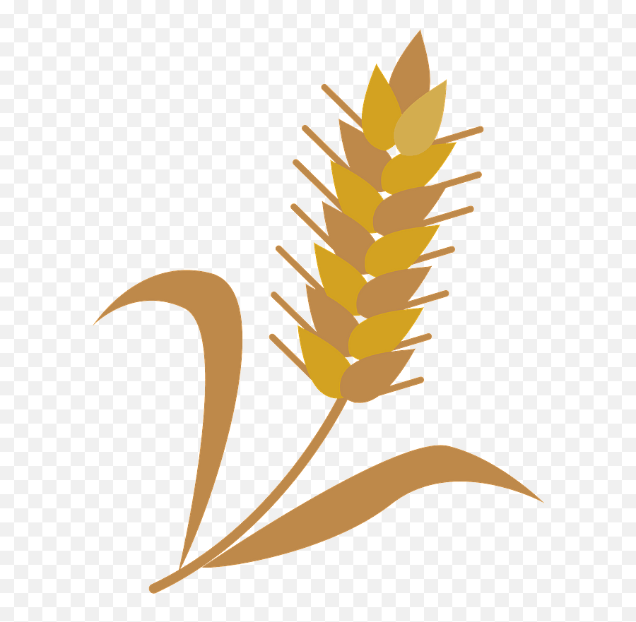 Wheat Cereal Grain Clipart Free Download Transparent Png - Grain Clipart,Wheat Transparent