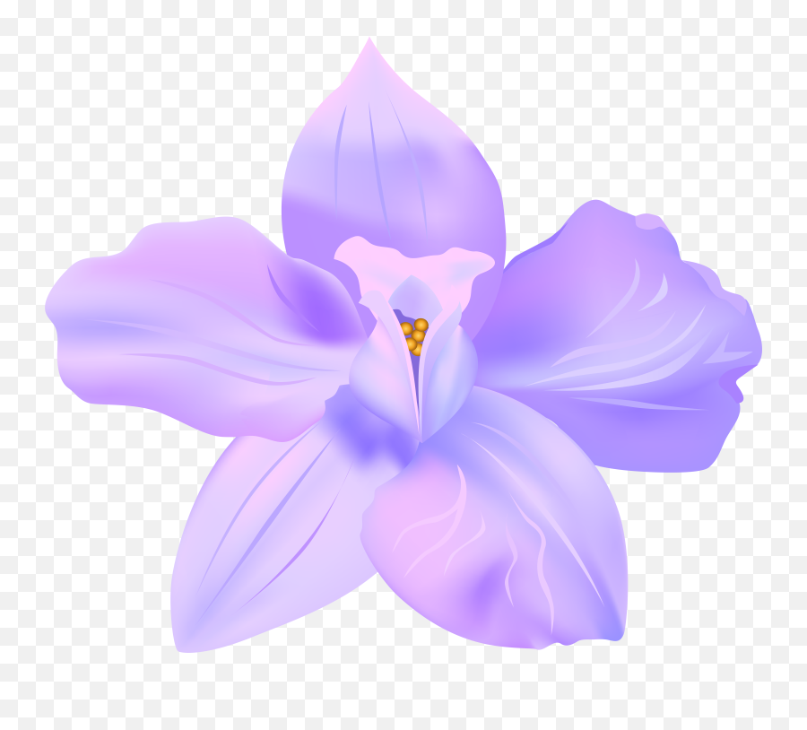 Violets Clip Art Png