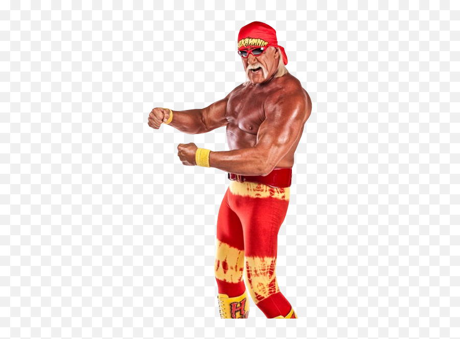 Ambriegnsasylum16 - Wwe Hulk Hogan Png,Hulk Hogan Png