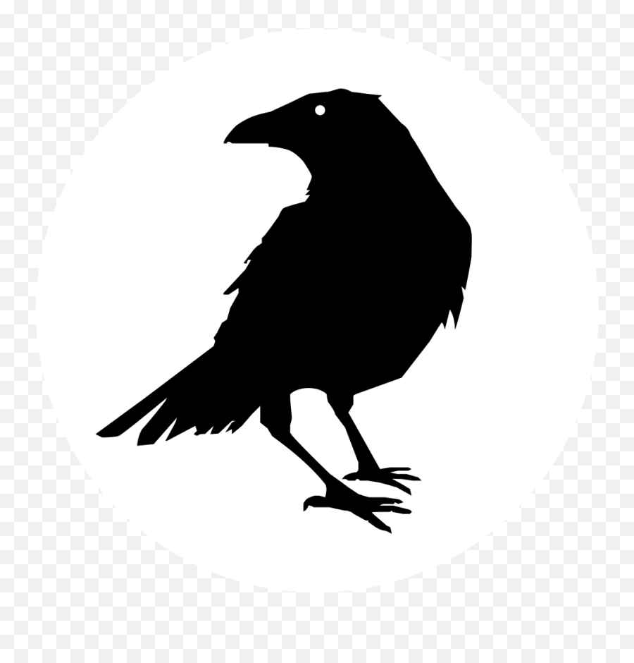 Jpg Download Raven Transparent Circle - Raven Silhouette Png,Raven Transparent Background