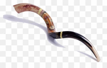 Shofar Horn Painted Kudu With Lion Of Judah 40 - 42 Bag From Israel Shofar Png,Shofar Png