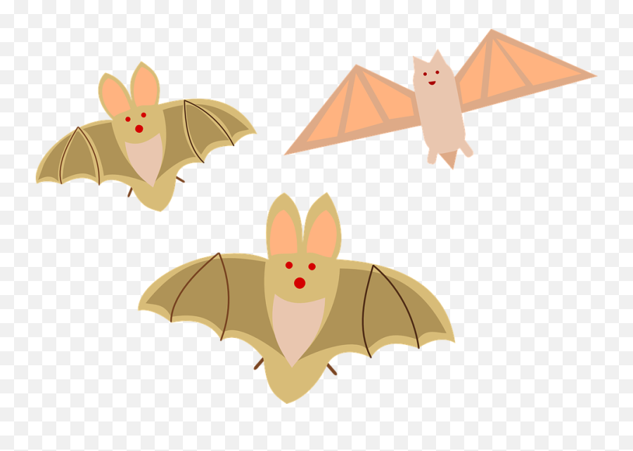 Halloween Bats Birds - Free Vector Graphic On Pixabay Cute Bat Clip Art Png,Halloween Bats Png