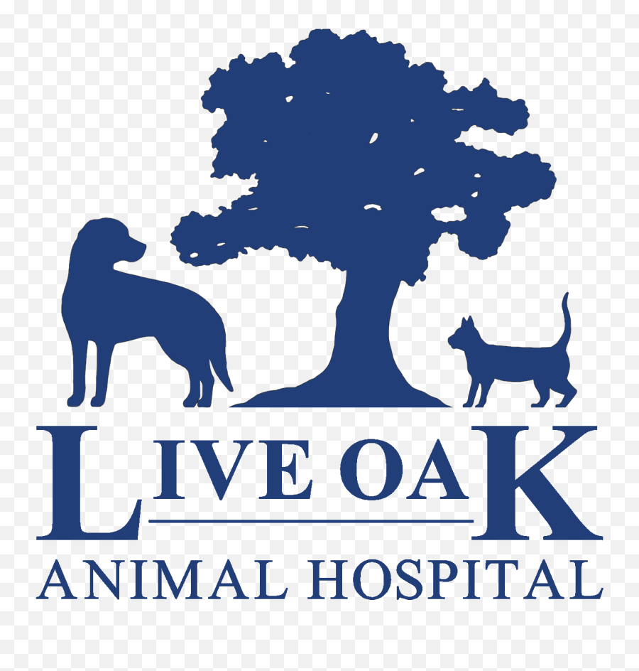Live Oak Animal Hospital - Vero Beach Veterinarians Language Png,Live Oak Png