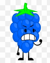 Download Blue Raspberry - Object Show Blue Rasbery Png,Blue Raspberry Png