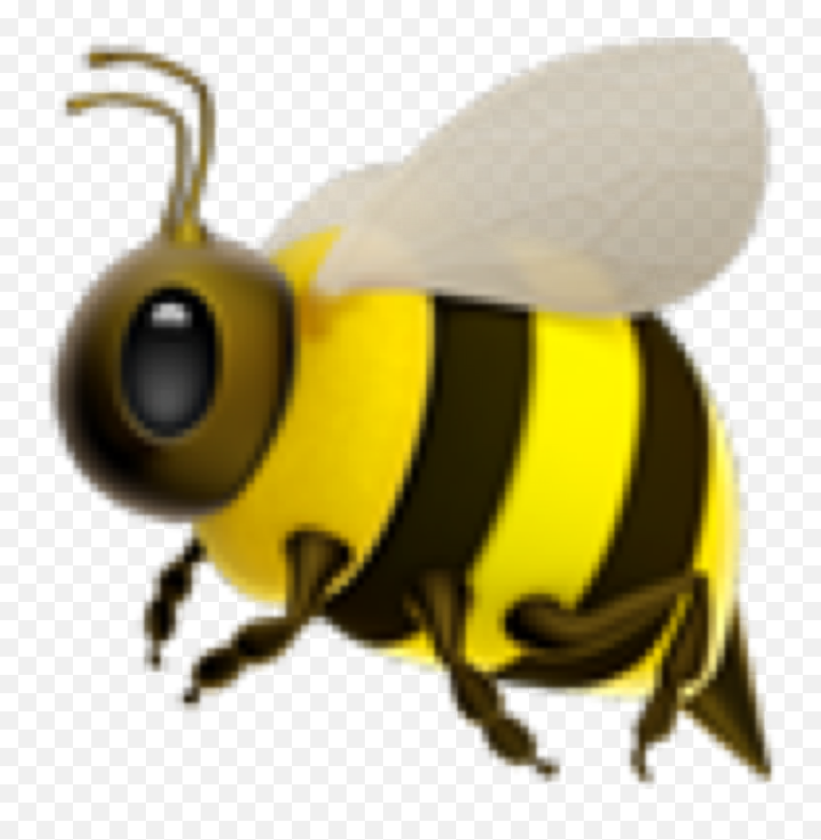 Iphone Bee Yellow Emoji Tumblr - Bumblebee Png,Bee Emoji Png