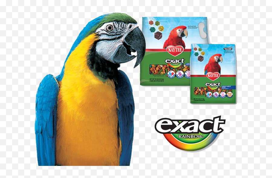 Find The Exact Formula For Your Feathered Friend Extruded - Bird Supply Png,Cockatiel Icon