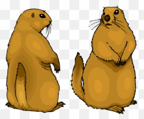 Download Free Groundhog Day Fur Seal Gopher For Carol Icon - png