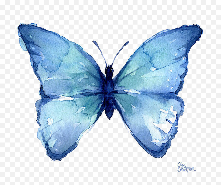 Blue Butterfly Png Free Download - Blue Butterfly,Blue Butterflies Png