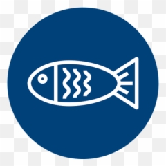 About - Transnational Alliance to Combat Illicit Trade Fish png