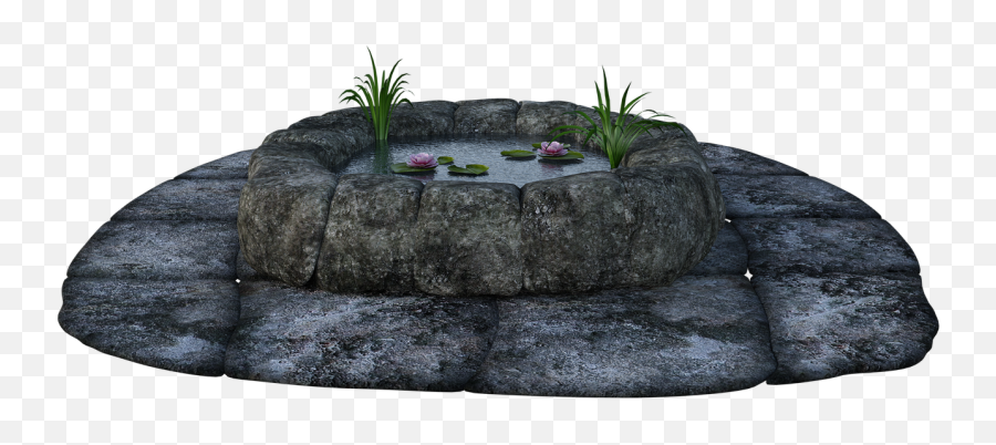 Stone Pond Grass Png