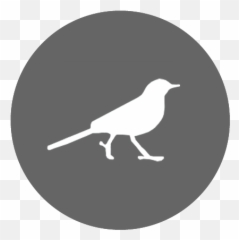 Postmates - Food grocery u0026 more 5193 nodpi APK Download png