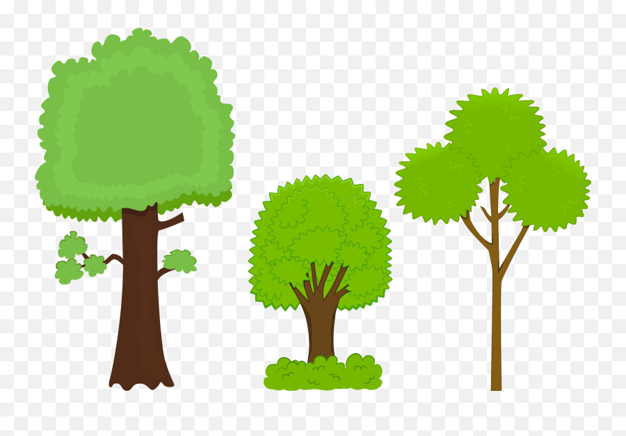 Download Free Png Trees - Free Clipart Trees,Tree Bark Png