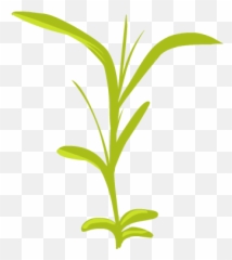 Make It Alive Spotted Tree Frogs - Vertical png