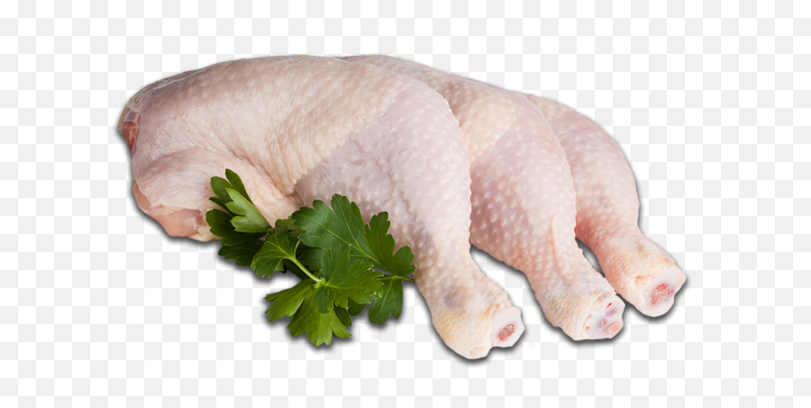 Poultry - Raw Chicken Leg Quarter Png,Turkey Leg Png