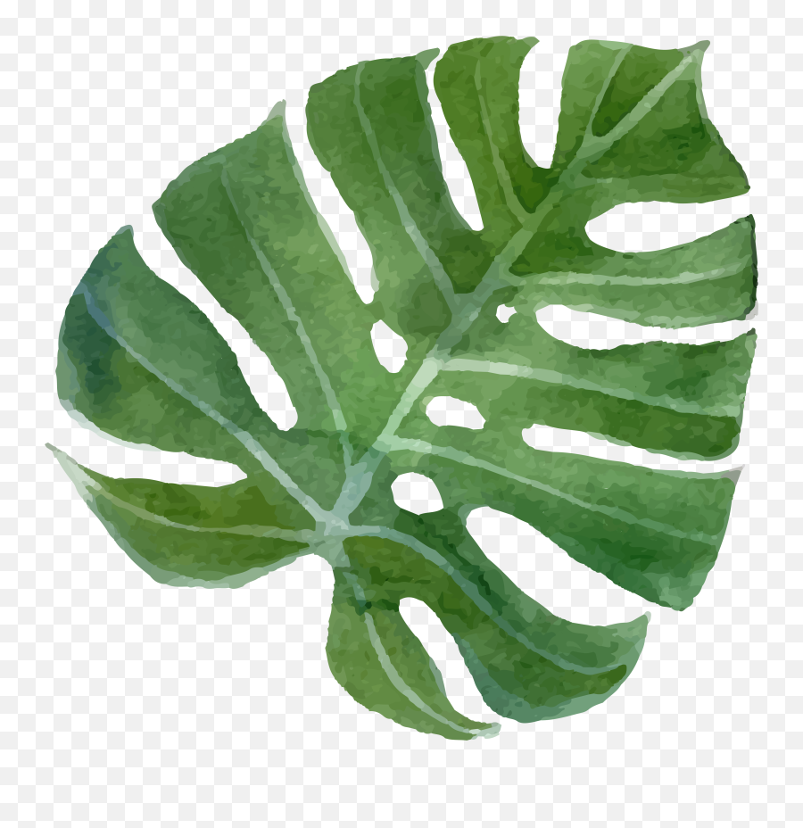 Vector Tropical Leaf Png Transparent Cartoon - Jingfm,Tropical Leaf Png