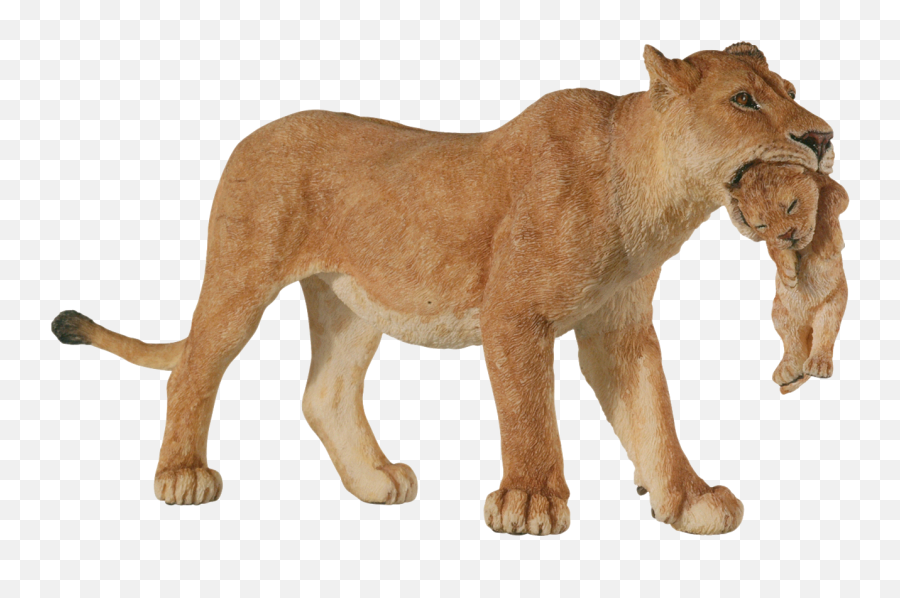 Hd Lioness Png Transparent Image - Lion With Long Neck,Lioness Png
